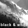 black_n_white_thumb